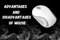Advantages and Disadvantages of a Computer Mouse: A Complete Overview
