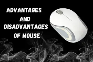 Advantages and Disadvantages of a Computer Mouse: A Complete Overview
