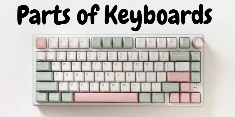 parts of keyboards