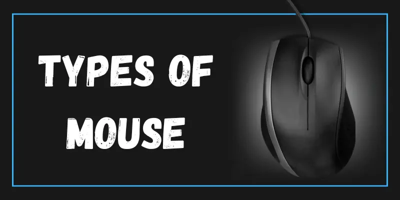 types of mouse