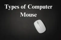 Types of Computer Mouse: Which One Should You Choose?