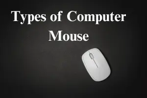 Types of Computer Mouse: Which One Should You Choose?