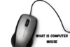 What is a Mouse? A Simple Guide for Everyone - Post Thumbnail