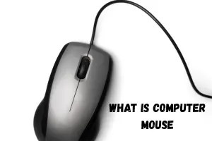 What is a Mouse? A Simple Guide for Everyone
