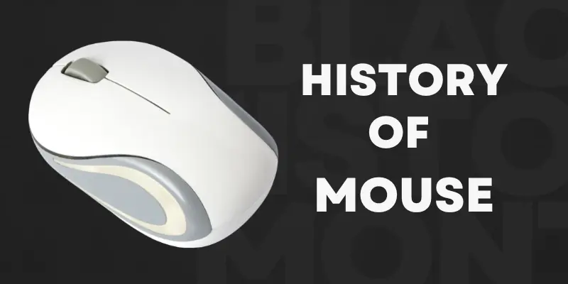 history of mouse